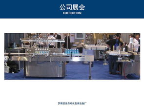 汕尾陆丰拉伸膜缠膜机说明书 高效包装新选择